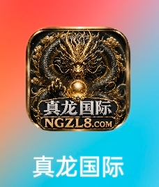 真龙国际